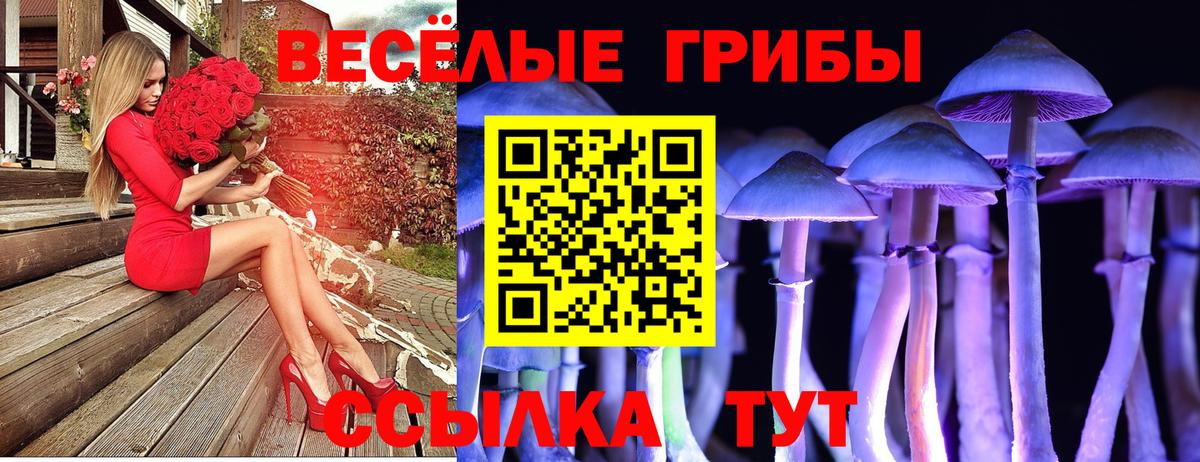 Галлюциногенные грибы ЛСД Донской