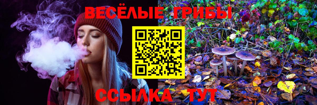 Галлюциногенные грибы Cubensis  Вход с VPN  Донской 
